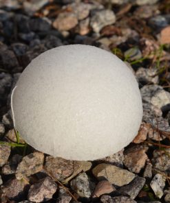 Eponge-Konjac – blanche