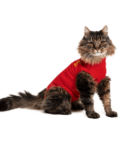 Medical Pet Shirt Katze