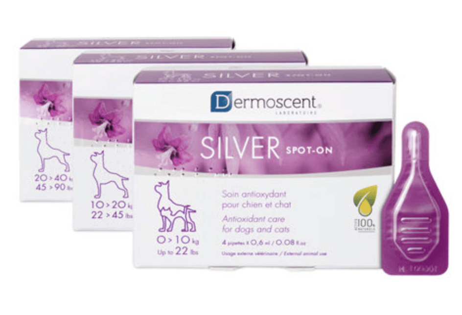 Dermoscent Silver Spot-on – Bild 2