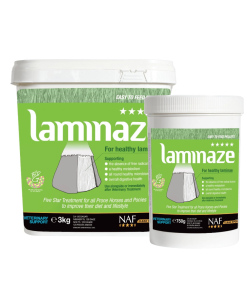 Alternative view of NAF Laminaze