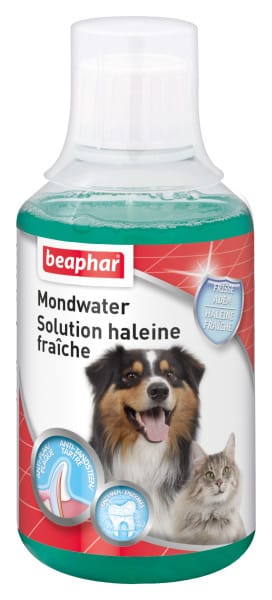Beaphar Mundwasser Hund/Katze – Bild 2